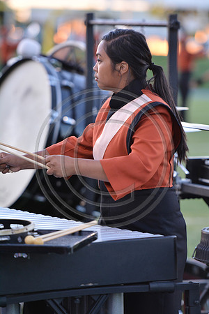Mandarins-Clovis-613