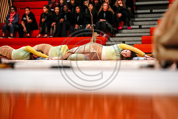 Allegany Gold Guard_190504_Wildwood-7306972