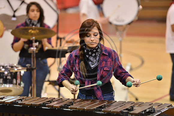 Woodbridge Percussion-432