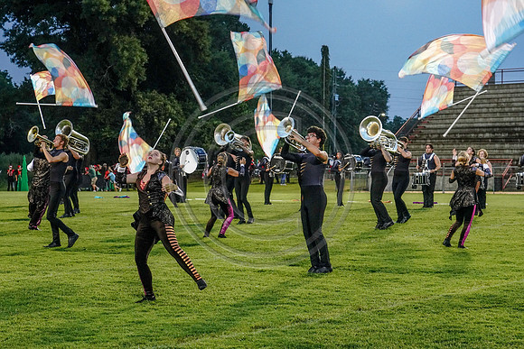 Carolina Gold_190713_Millbrook-03295