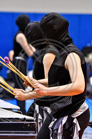 Cab Calloway Drumline_190330_Spring-Ford-4446
