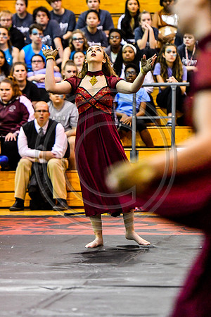 Avon Grove Maroon Guard_180317_Avon Grove-3-46