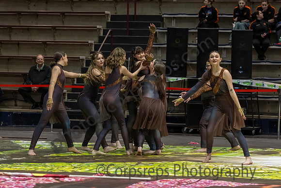 Sacrad Heart University Winter Guard_250323_Liberty High School-JB00515