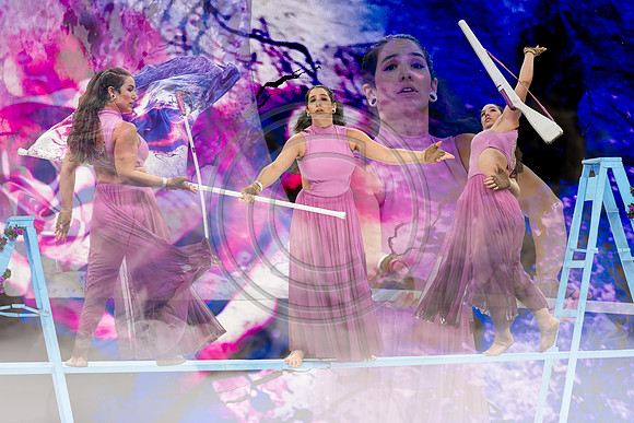 Extraordinaire Dansemble-001