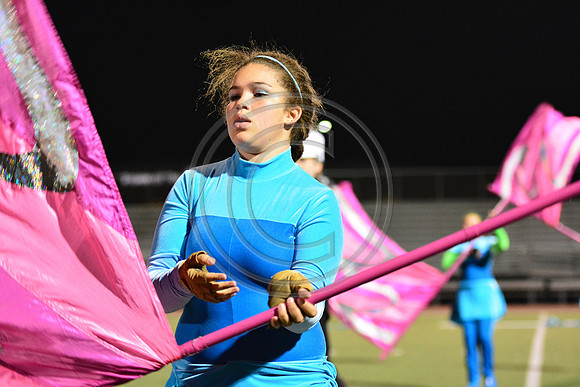 Cedar Cliff High School Colts-461