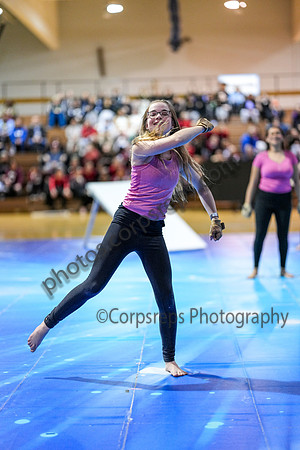 High Voltage_250201_North Penn-01287