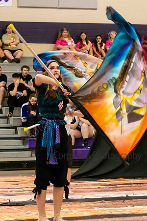 Palmyra Area Guard_250405__TS00029