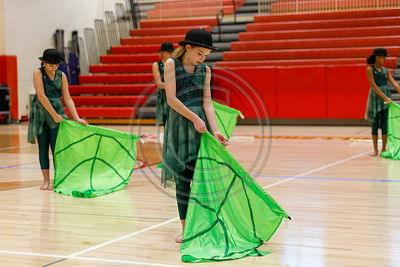Our_Lady_of_Good_Counsel_Guard_230204_Hillsborough-JB00006
