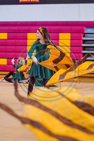 Springton Lake MS Guard_190209_Penncrest-7303749