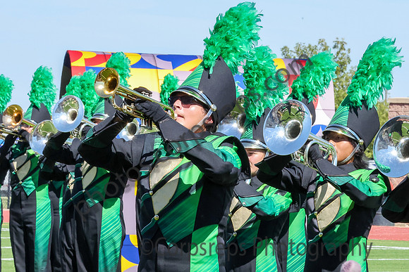 Birdville_240928_Saginaw-LT44