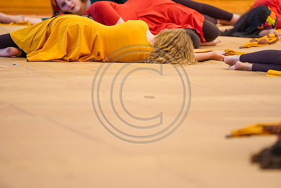 Springton Lake MS Guard_190209_Penncrest-7303731