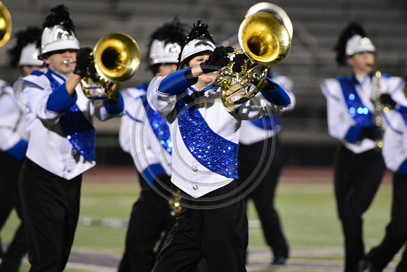 Nazareth Area High School  Blue Eagle-1217