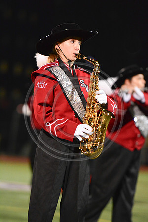 Saucon Valley High School Panthers Marching Band-239