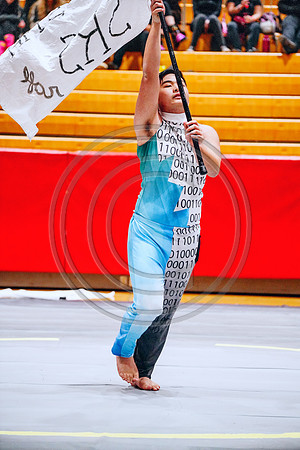 N-8 Winterguard_190202_Hillsborough-2-46