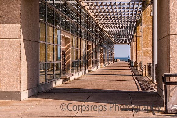 _250430_Wildwood-00004