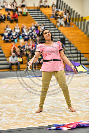 N-8 Winterguard Novice_190413_South Brunswick-4203