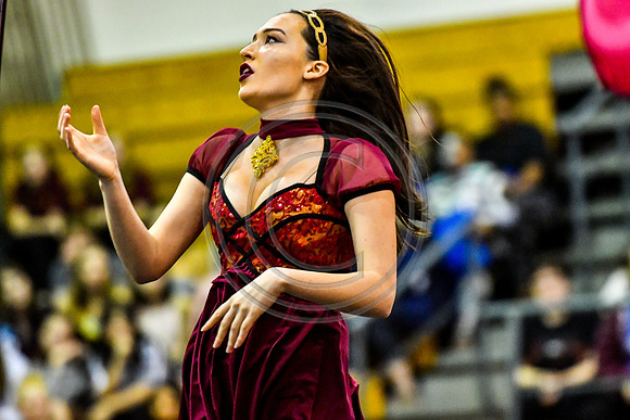 Avon Grove Maroon Guard_180317_Avon Grove-2