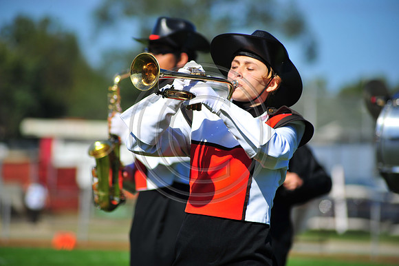 Cumberland Regional