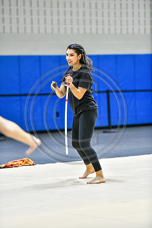 Abington Guard_190126_Spring-Ford-1062