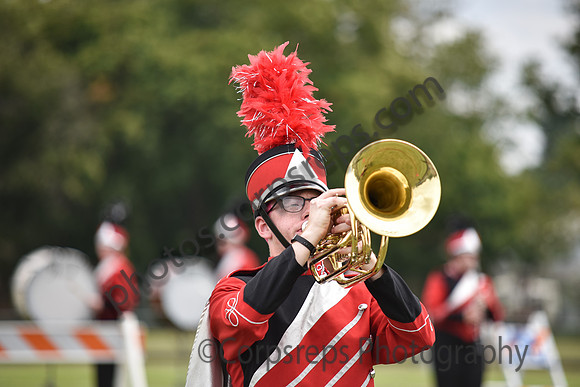 Palmyra_250906_Collingswood-mg-15