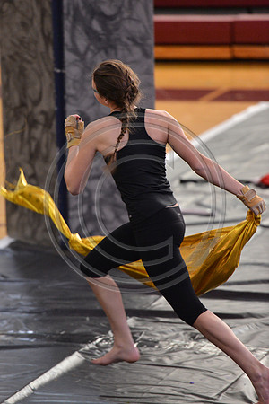Lackawanna Trail Guard-623