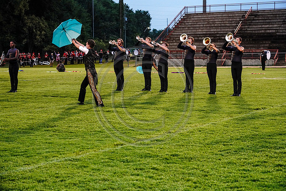 Carolina Gold_190713_Millbrook-03298