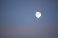 _251004_Appoquinimink-01460