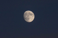 _251004_Appoquinimink-01462