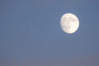_251004_Appoquinimink-01461