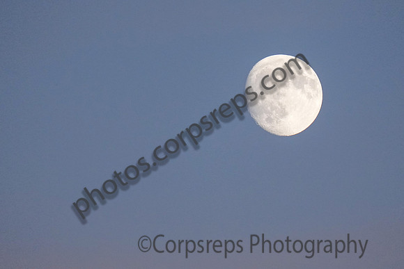 _251004_Appoquinimink-01461
