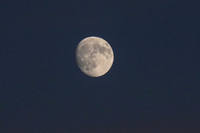 _251004_Appoquinimink-01463