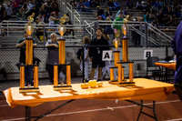 Awards_251004_MarpleNewtown-TL01043
