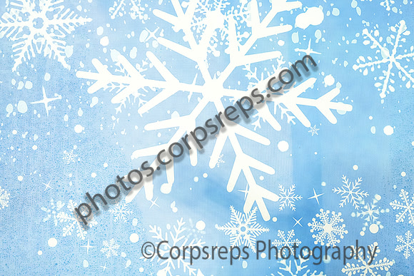 Liverpool_251011_Annapolis-04436