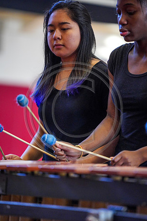 William Penn Drumline_190209_Penncrest-7302930
