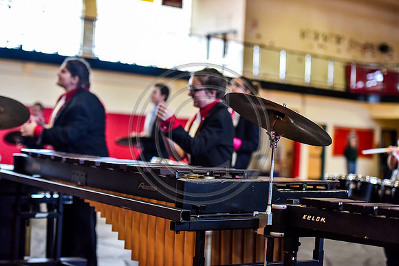 Chichester Drumline-043