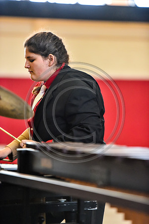 Chichester Drumline-009
