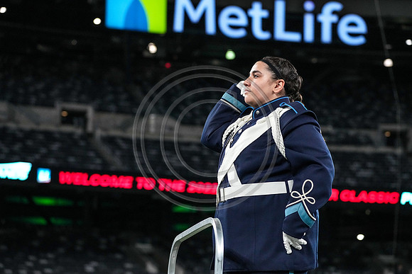 Arthur L Johnson_221008_MetLife-00085