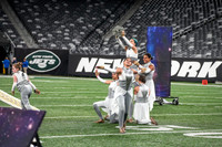 Arthur L Johnson_221008_MetLife-00094
