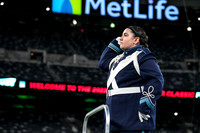 Arthur L Johnson_221008_MetLife-00084