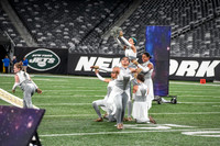 Arthur L Johnson_221008_MetLife-00093