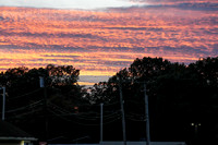 _251019_Eastern Regional-03095