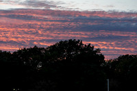 _251019_Eastern Regional-03096