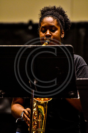 William Penn Sax Studio_170504_Wildwood-5547