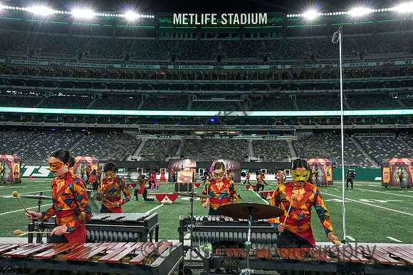 Hillsborough_251018_MetLife-04999