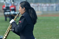 Fair Lawn-314