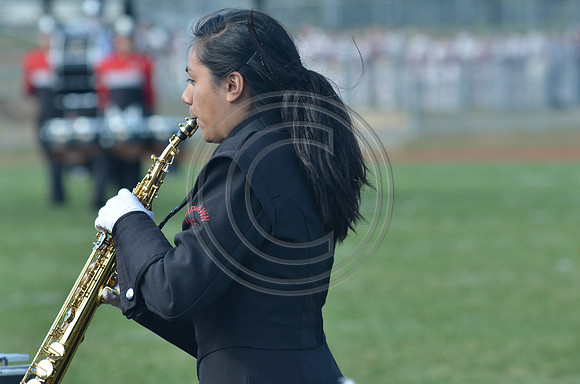 Fair Lawn-314