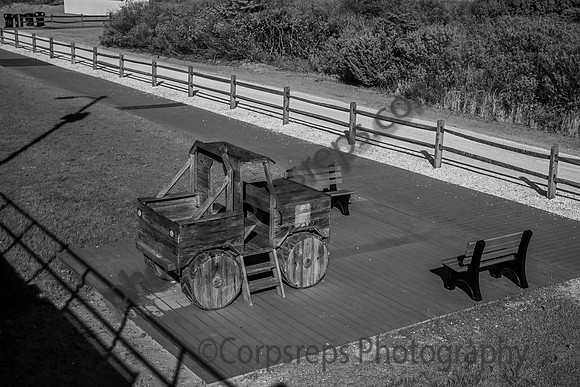 _240501_Wildwood-XX00005