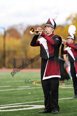 Chichester_251101_Willow Grove-cb00029