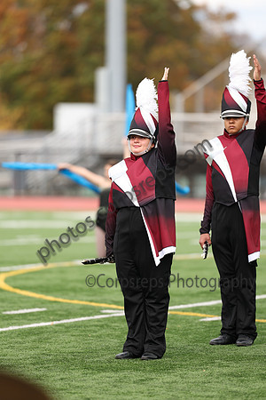Chichester_251101_Willow Grove-cb00003