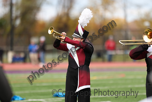 Chichester_251101_Willow Grove-cb00024